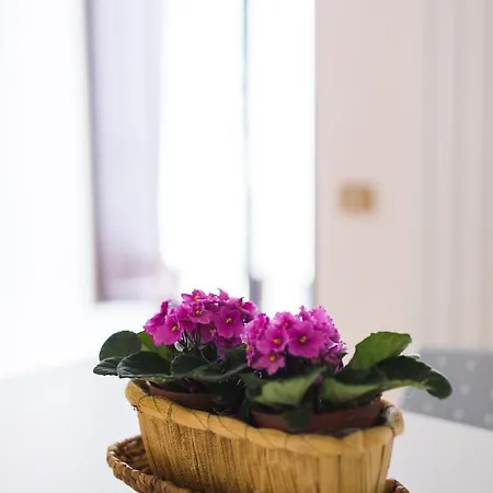 Ad Un Passo Dal Duomo * Orvieto