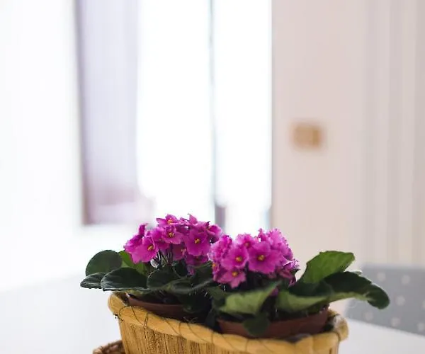 Ad Un Passo Dal Duomo * Orvieto